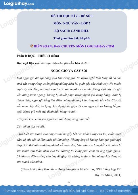 Đề thi học kì 2 Văn 7 Cánh diều - Đề số 1
